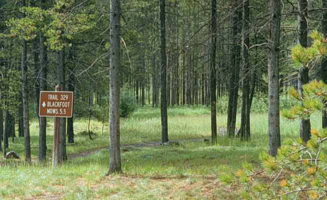 Escape to Montana's Jewel: Kading Campground - Your Gateway to Adventure